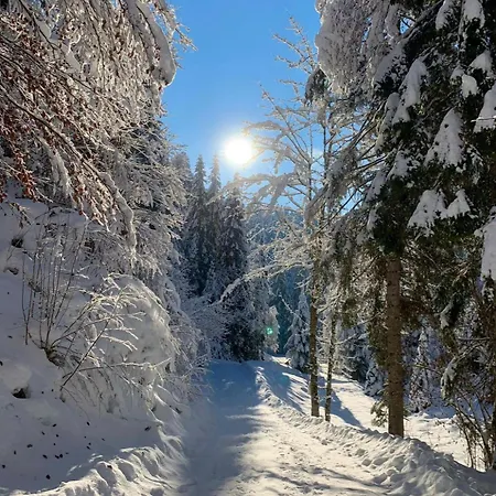 Mountapart In - Out *