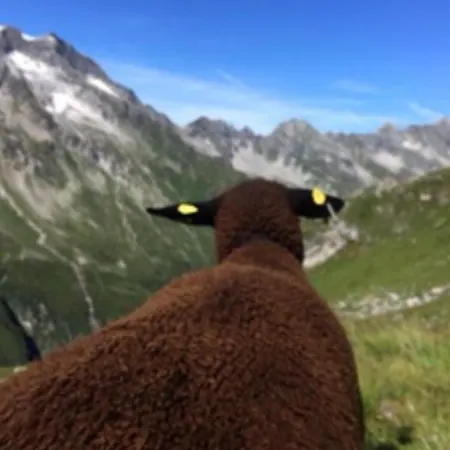 公寓 Mountapart In - Out