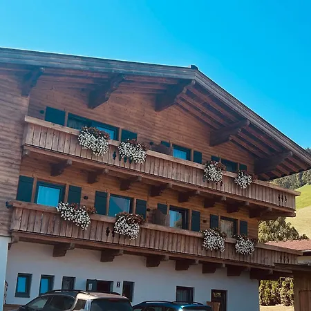 Mountapart In - Out *