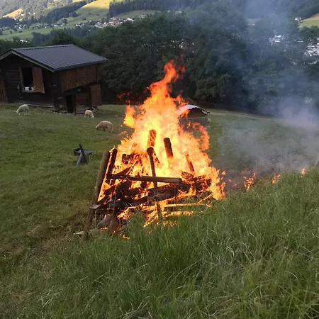 Mountapart In - Out - Sommercard Zum Halben Preis - Gueltig Von Juli Bis September 2025 * Jochberg