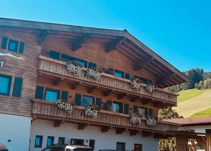 Mountapart In - Out *