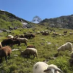 Mountapart In - Out *